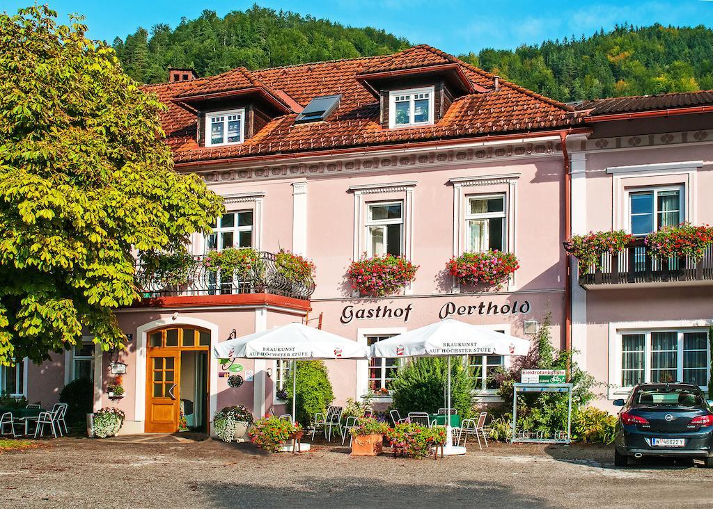 Gasthof Zum Niederhaus - Familie Perthold Sankt Aegyd am Neuwalde Exterior foto